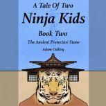 Tale Of Two Ninja Kids, A - Book 2 - The Ancient Protective Stone