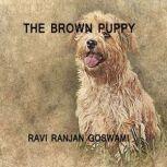 The Brown Puppy, Ravi Ranjan Goswami