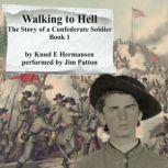 Walking to Hell The Story of a Confederate Soldier