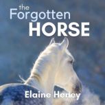The Forgotten Horse Book 1 in the Connemara Horse Adventure Series for Kids., Elaine Heney