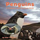 Penguins: A Compare and Contrast Book, Cher Vatalaro