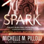 Spark A Qurilixen World Novella: Intergalactic Dating Agency, Michelle M. Pillow