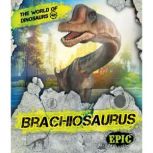 Brachiosaurus, Rebecca Sabelko