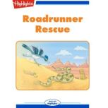 Roadrunner Rescue, Brian Berndt