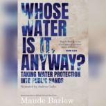 Whose Water is it, Anyway? Taking Water Protection into Public Hands