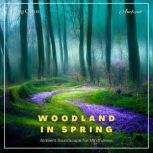 Woodland in Spring Ambient Soundscape for Mindfulness, Greg Cetus