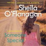 Someone Special The #1 bestseller! Friendship, family and love will collide …, Sheila O'Flanagan
