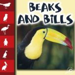 Beaks and Bills Life Science - Let's Look at Animals, Lynn Stone
