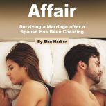 Affair Surviving a Marriage after a Spouse Has Been Cheating