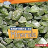 Marveling at Minerals, Sally M. Walker
