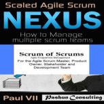 Agile Project Management Box Set: Scaled Agile Scrum: Nexus & Scrum of Scrums, Paul VII