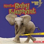 Meet a Baby Elephant, Samantha S. Bell