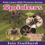 Spiders Photos and Fun Facts for Kids