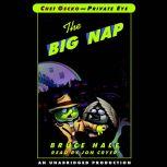 Chet Gecko, Private Eye: Book 3 - The Big Nap, Bruce Hale