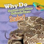 Why Do Snakes and Other Animals Have Scales?, Clare Lewis
