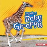 Meet a Baby Giraffe, Samantha S. Bell