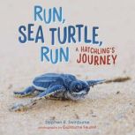 Run, Sea Turtle, Run A Hatchling's Journey, Stephen R. Swinburne