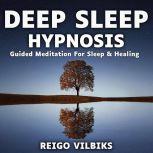 Deep Sleep Hypnosis Guided Meditation For Sleep & Healing, Reigo Vilbiks