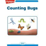 Counting Bugs, Charlotte Gunnufson