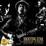 Shooting Star - Bob Dylan: A Tribute, Geoffrey Giuliano