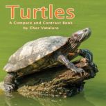 Turtles: A Compare and Contrast Book, Cher Vatalaro