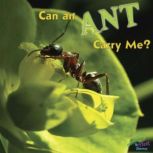 Can an Ant Carry Me?, Meg Greve