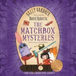 The Matchbox Mysteries The Detective Agency's Fourth Case, Sally Gardner