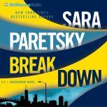 Breakdown, Sara Paretsky