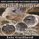 Chinchillas Photos and Fun Facts for Kids, Isis Gaillard