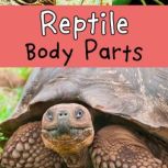 Reptile Body Parts, Clare Lewis