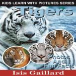 Tigers Photos and Fun Facts for Kids, Isis Gaillard