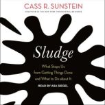 Sludge What Stops Us from Getting Things Done and What to Do about It, Cass R. Sunstein