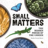 Small Matters The Hidden Power of the Unseen, Heather Ferranti Kinser