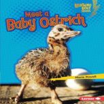 Meet a Baby Ostrich, Marie Powell