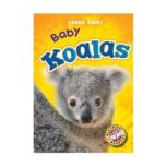 Baby Koalas Blastoff! Readers: Level 1, Megan Borgert-Spaniol