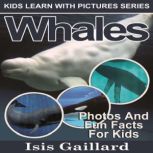 Whales Photos and Fun Facts for Kids, Isis Gaillard