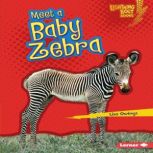 Meet a Baby Zebra, Lisa Owings