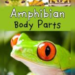 Amphibian Body Parts, Clare Lewis