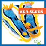 Sea Slugs, Mari Schuh