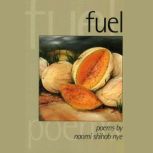 Fuel, Naomi Shihab Nye