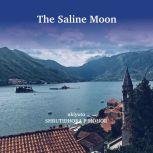 The Saline Moon, Shrutidhora P Mohor
