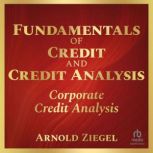 Fundamentals of Credit and Credit Analysis: Corporate Credit Analysis, Arnold Ziegel