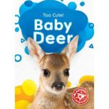 Baby Deer, Rebecca Sabelko