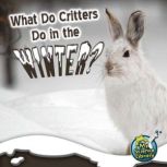 What Do Critters Do in the Winter?, Julie K. Lundgren