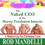 The Naked CEO & The Horny Freshmen Interns, Rod Mandelli