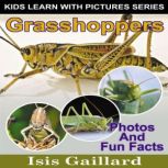 Grasshoppers Photos and Fun Facts for Kids, Isis Gaillard