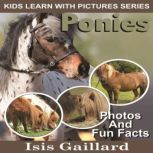 Ponies Photos and Fun Facts for Kids, Isis Gaillard