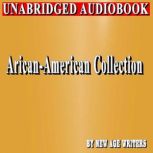 African American Collection, New Age Writers