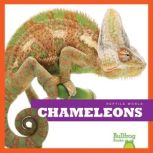 Chameleons, Cari Meister