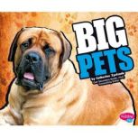 BIG Pets